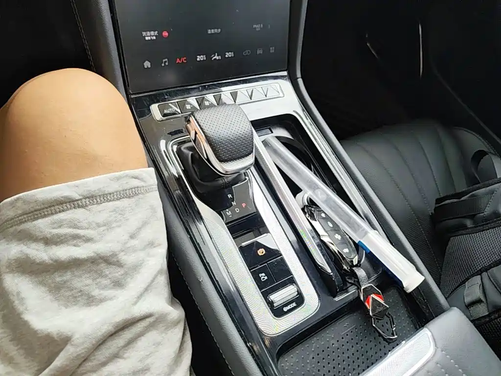 Hongqi Hongqi H5 — миниатюра 14