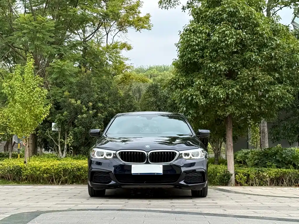 BMW 5 Series — миниатюра 2