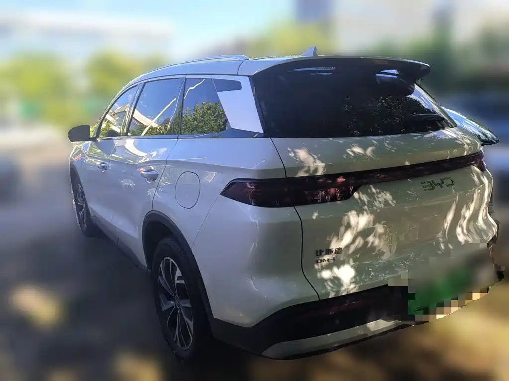 BYD Pro New Energy — миниатюра 4