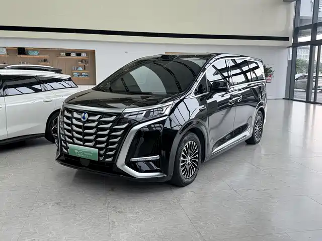 2025 Denza D9