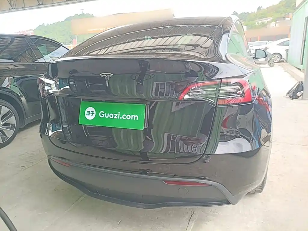 Tesla Model Y — миниатюра 6