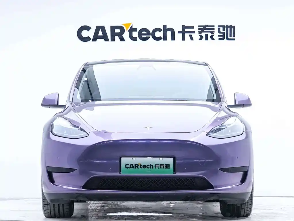 Tesla Model Y — миниатюра 6