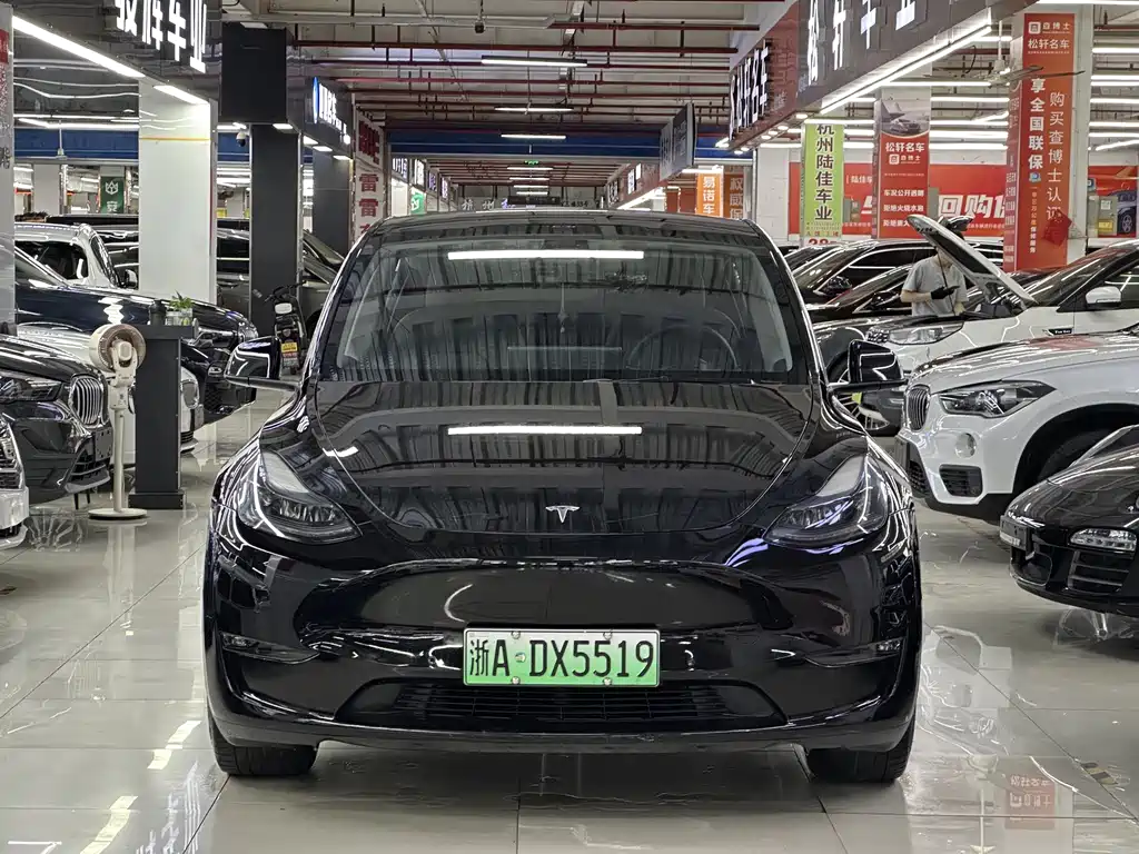 Tesla Model Y — миниатюра 2