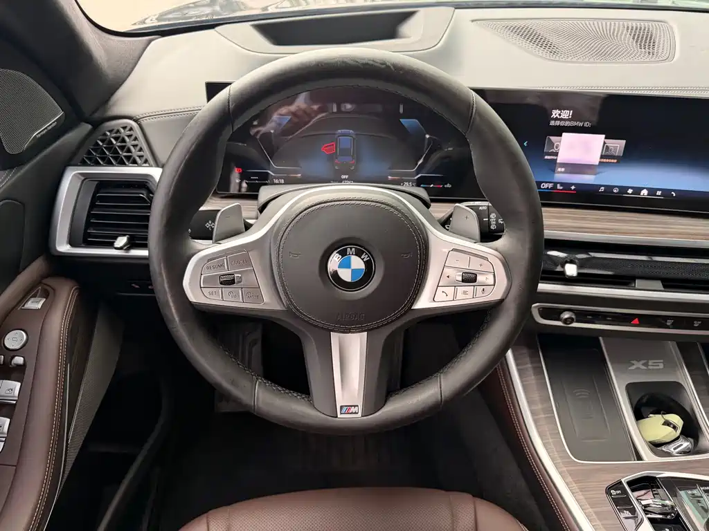 BMW X5 — миниатюра 14