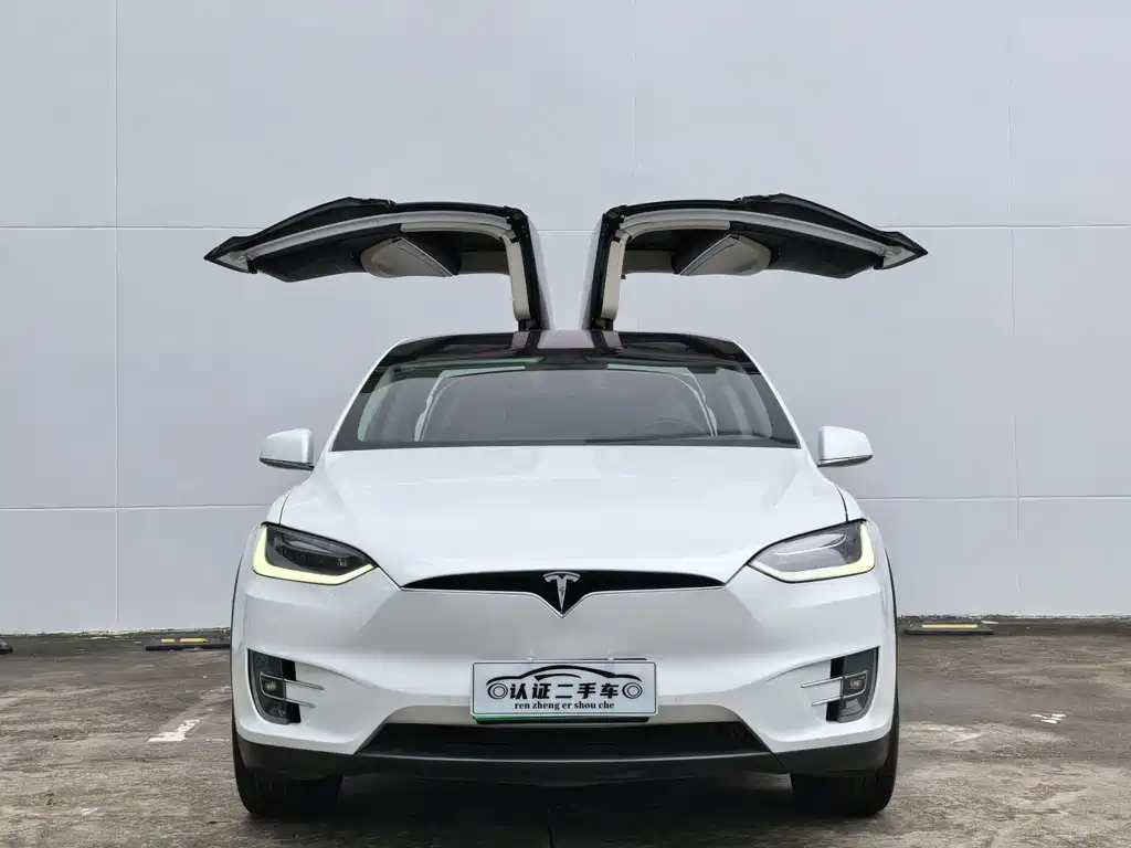 Tesla Model X 2017 Model X 100D