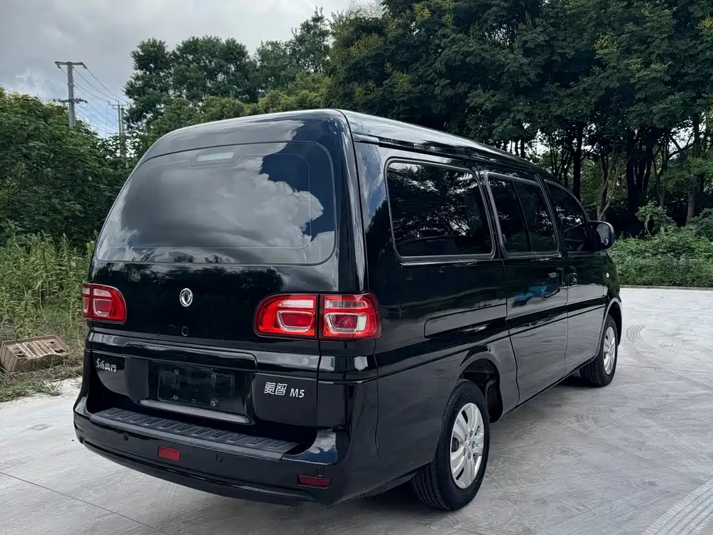 Fengxing Lingzhi — миниатюра 4