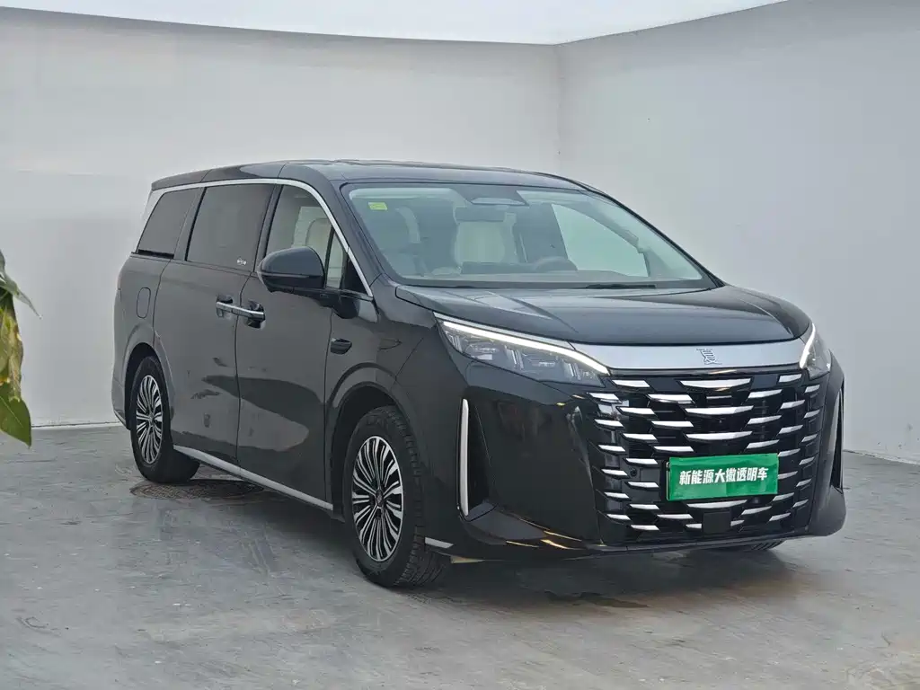 BYD Xia — миниатюра 3