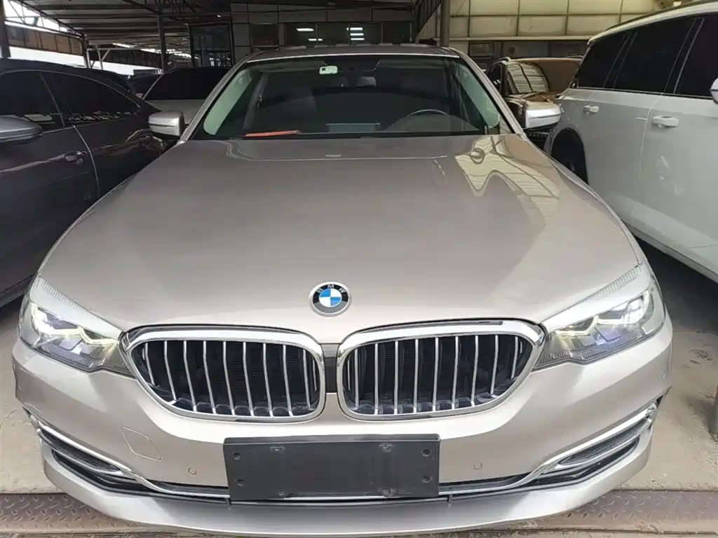 BMW 5 Series 5 2020 525Li Luxury