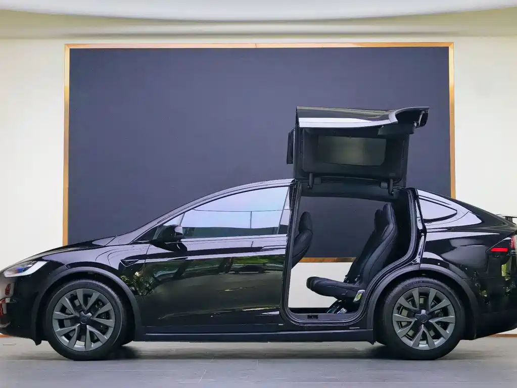 Tesla Model X 2023 — фото 20