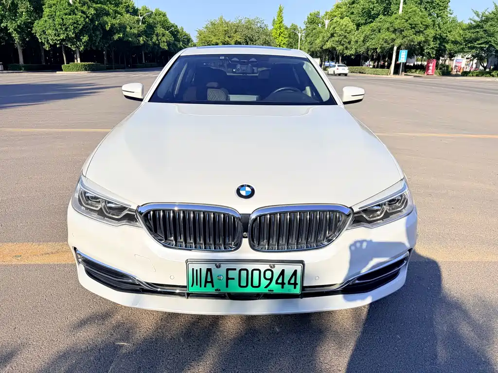 BMW 5 Series New Energy — миниатюра 2