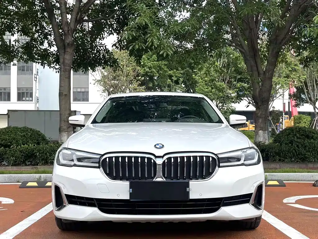 BMW 5 Series 5 2021 530Li Lead Luxury