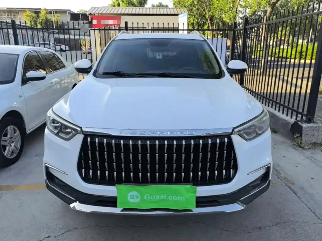 Leopaard Mattu — миниатюра 3