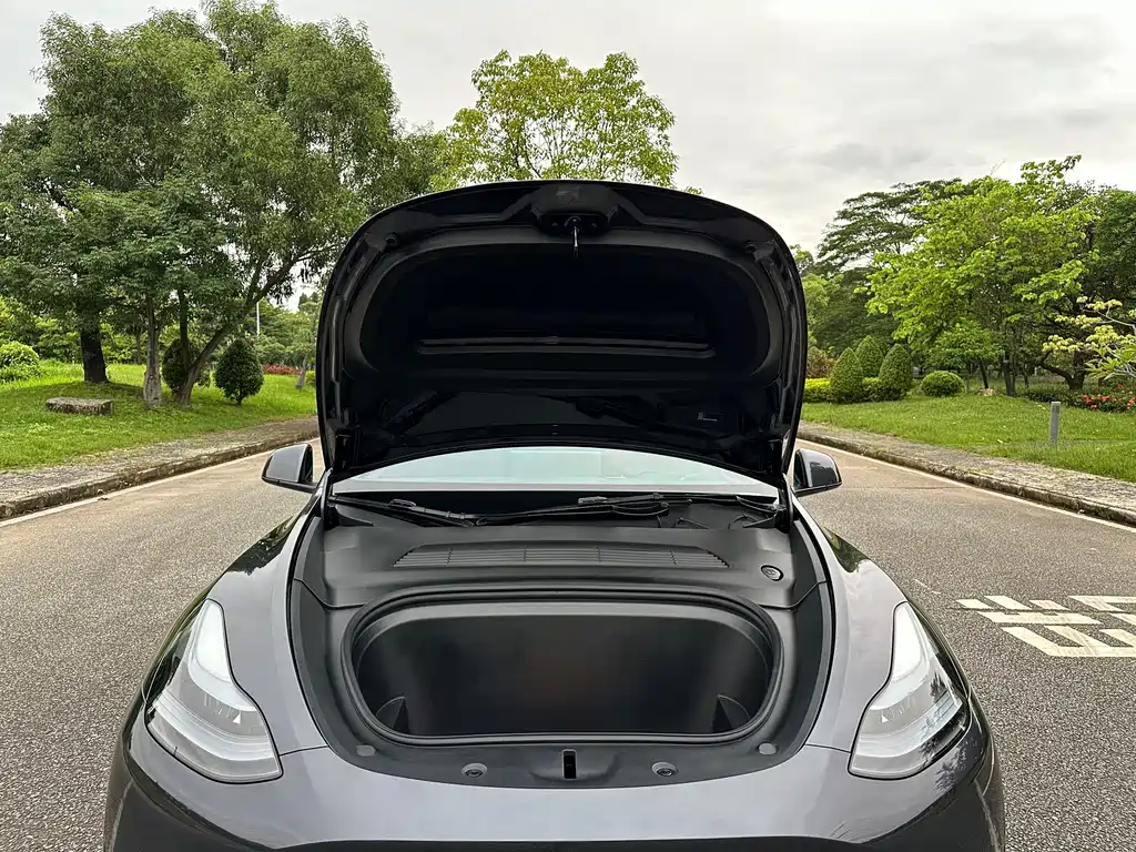 Tesla Model Y — миниатюра 16