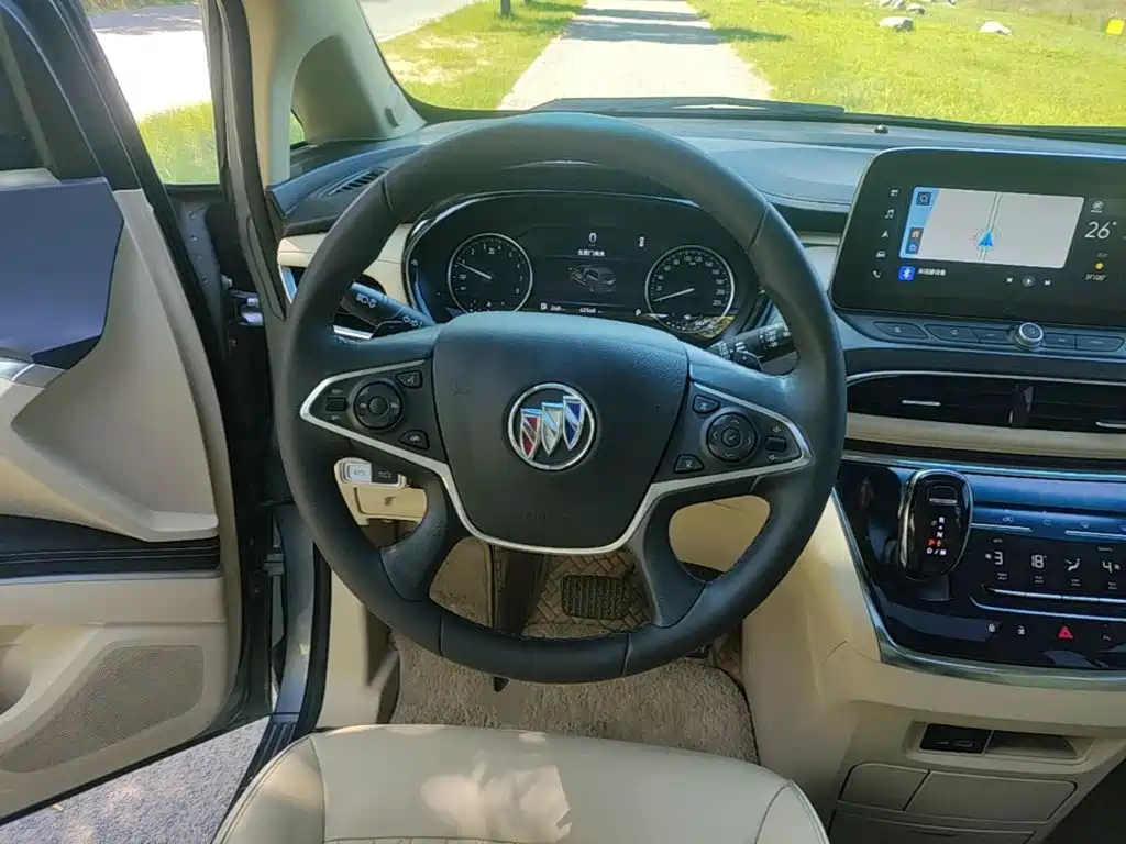 Buick GL8 — миниатюра 11