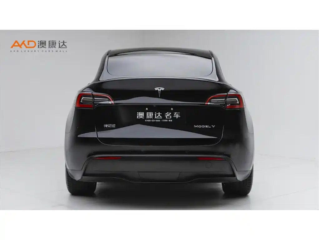 Tesla Model Y — миниатюра 4