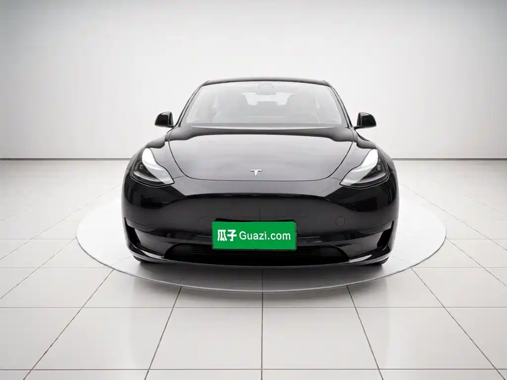 Tesla Model Y — миниатюра 2
