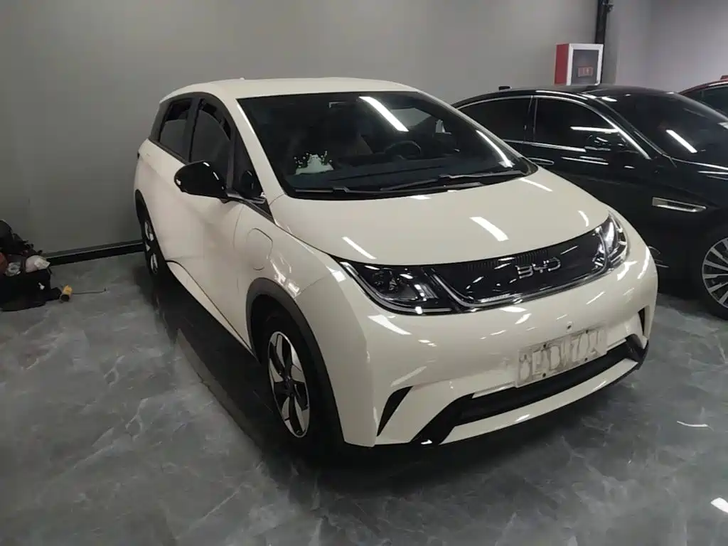 BYD Dolphin — миниатюра 4