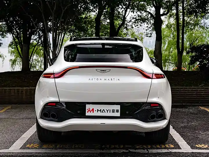 Aston Martin DBX 2020 4.0T V8 1913