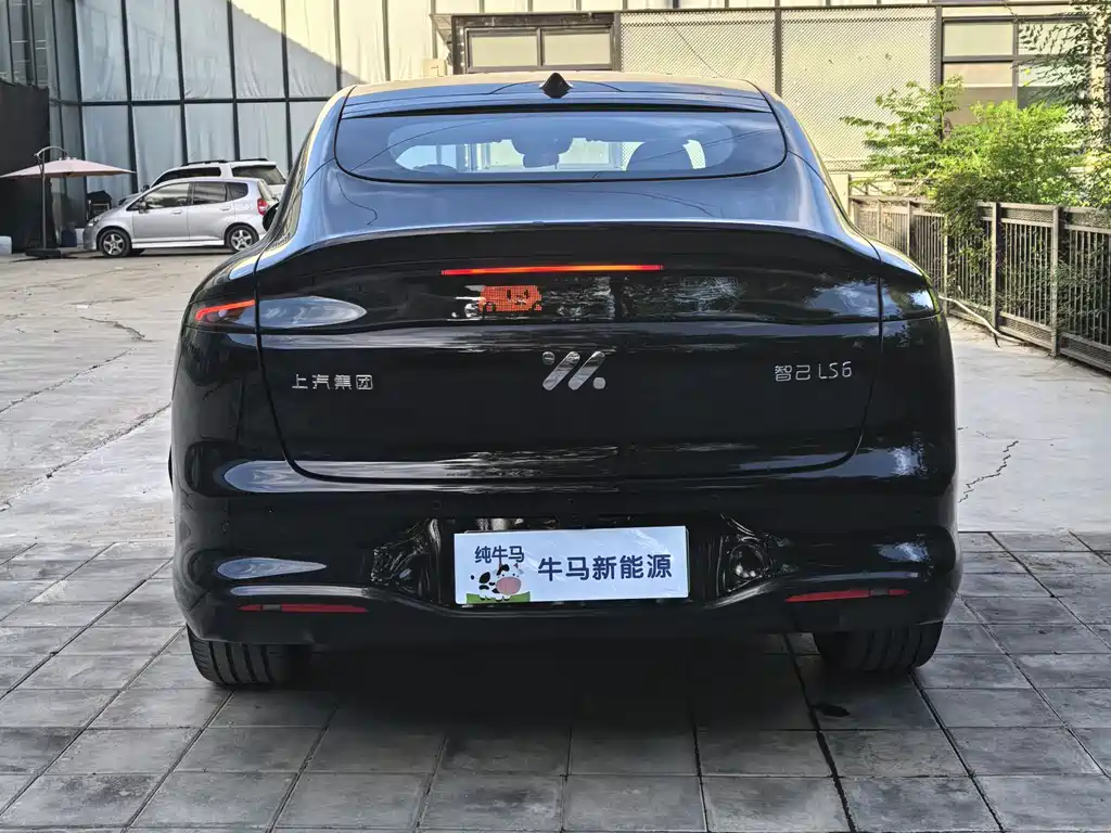 IM Motors LS6 2026 66 Max