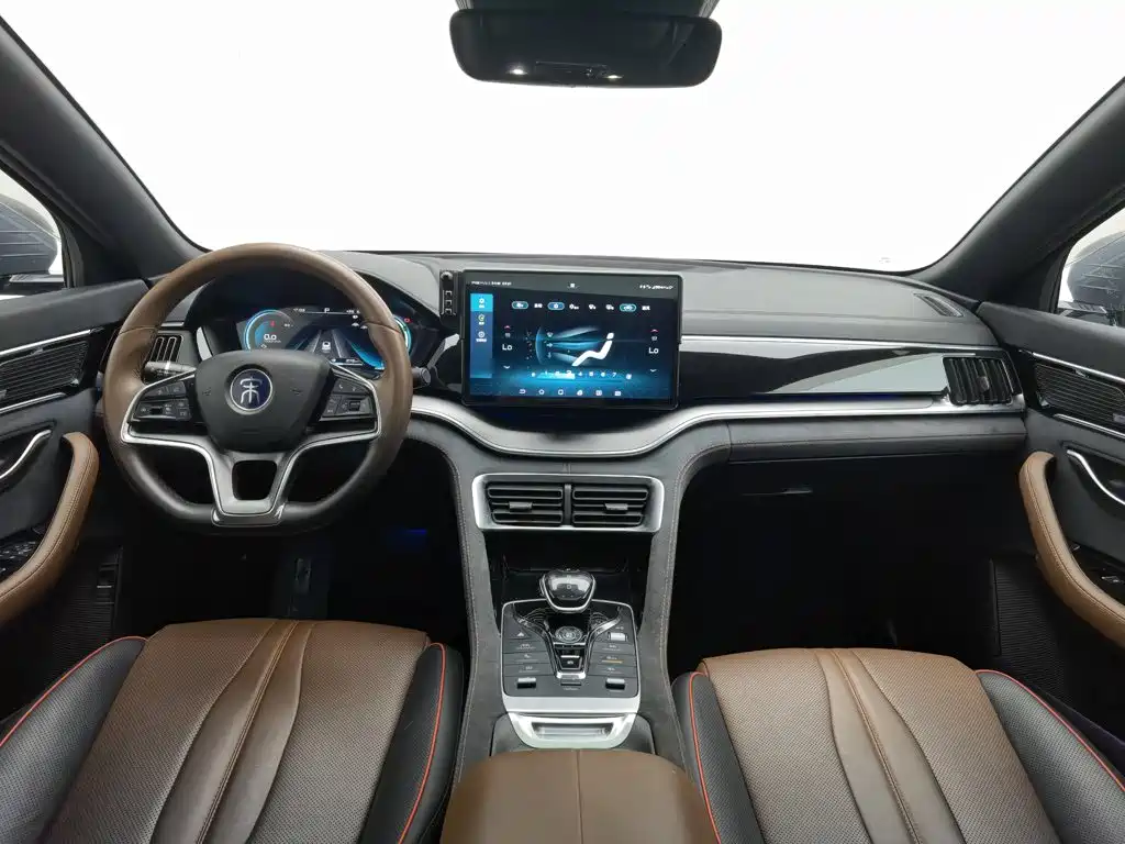 BYD PLUS — миниатюра 5