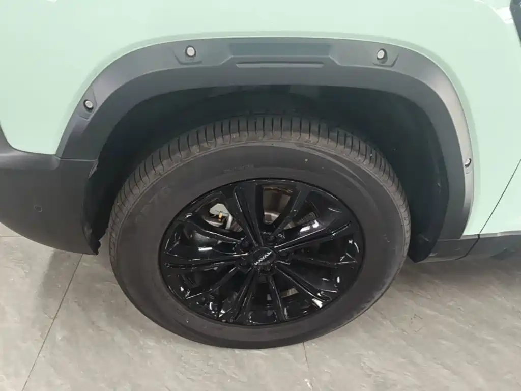 Haval Menglong New Energy — миниатюра 23