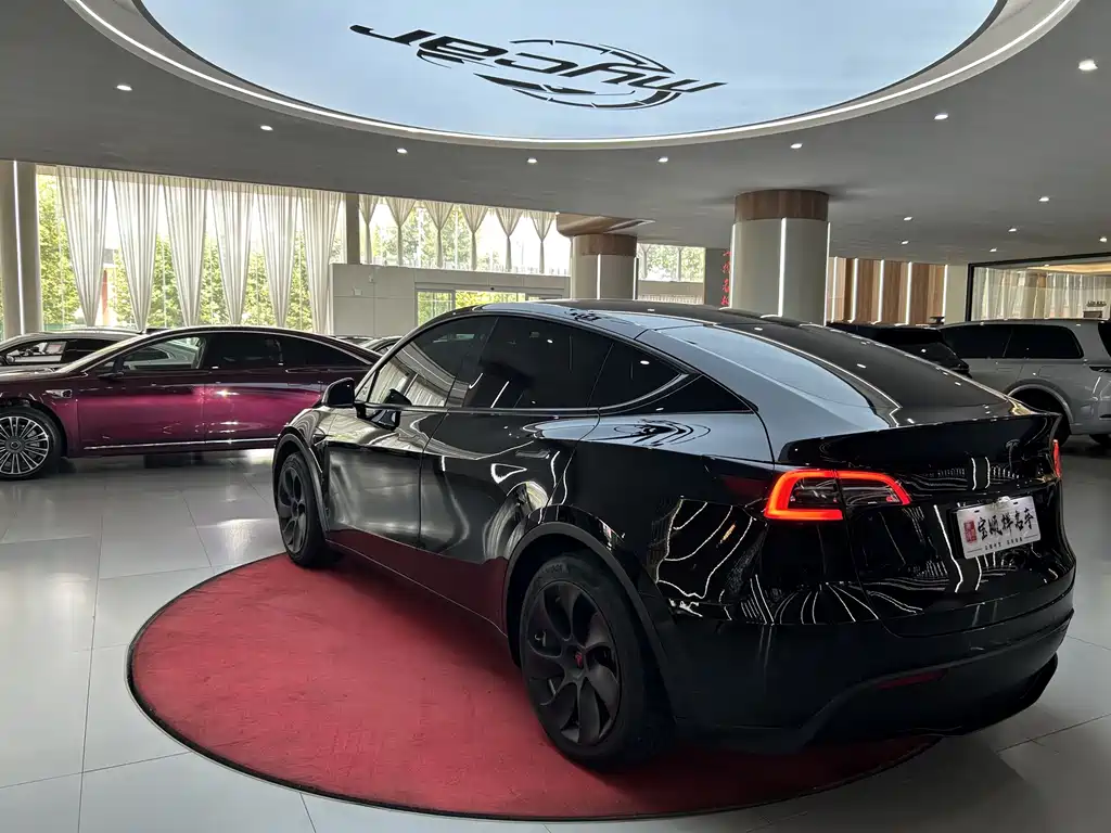 Tesla Model Y — миниатюра 7
