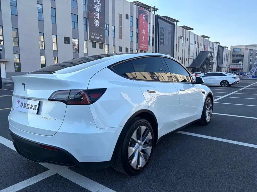Tesla Model Y — миниатюра 6