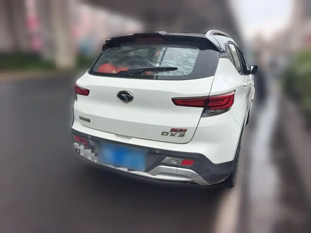 Soueast DX3 — миниатюра 5