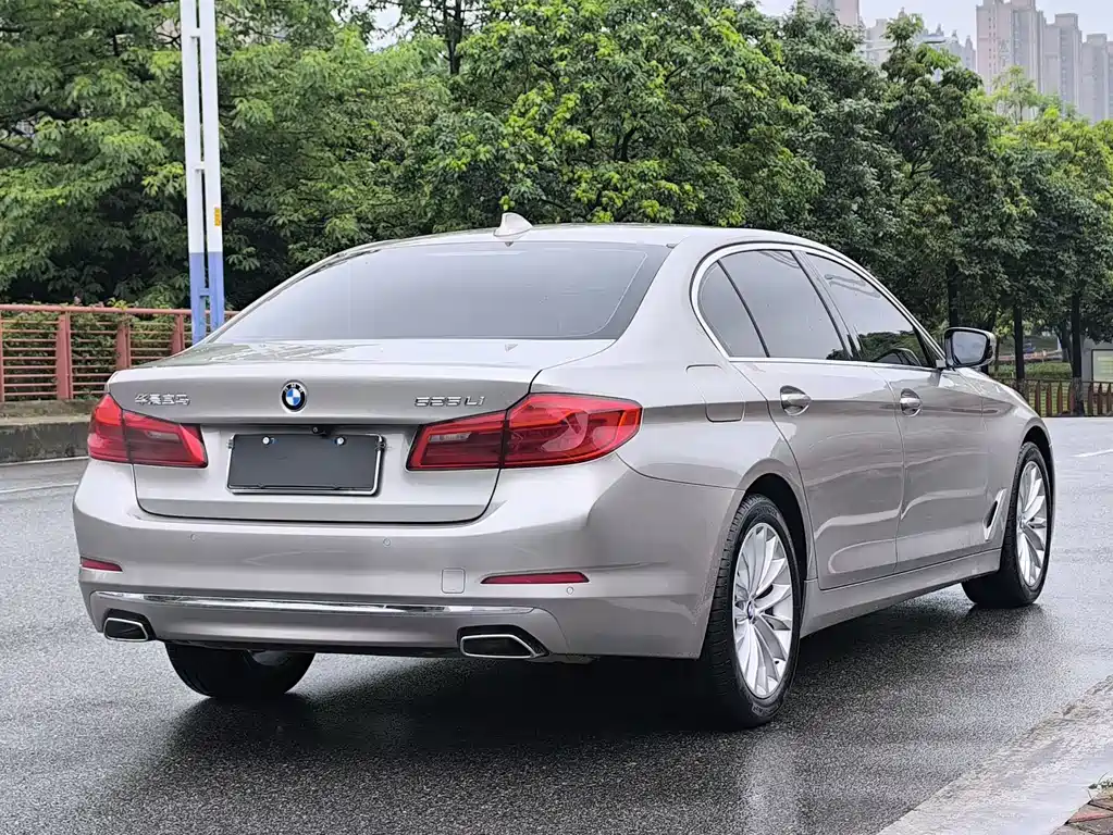 BMW 5 Series 5 2019 525Li Luxury