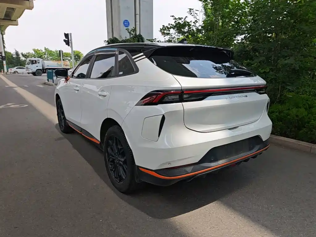 Fengxing Fengxing Leiting — миниатюра 5