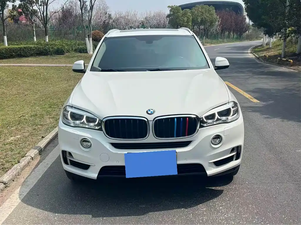 BMW X5 (Import) — миниатюра 2