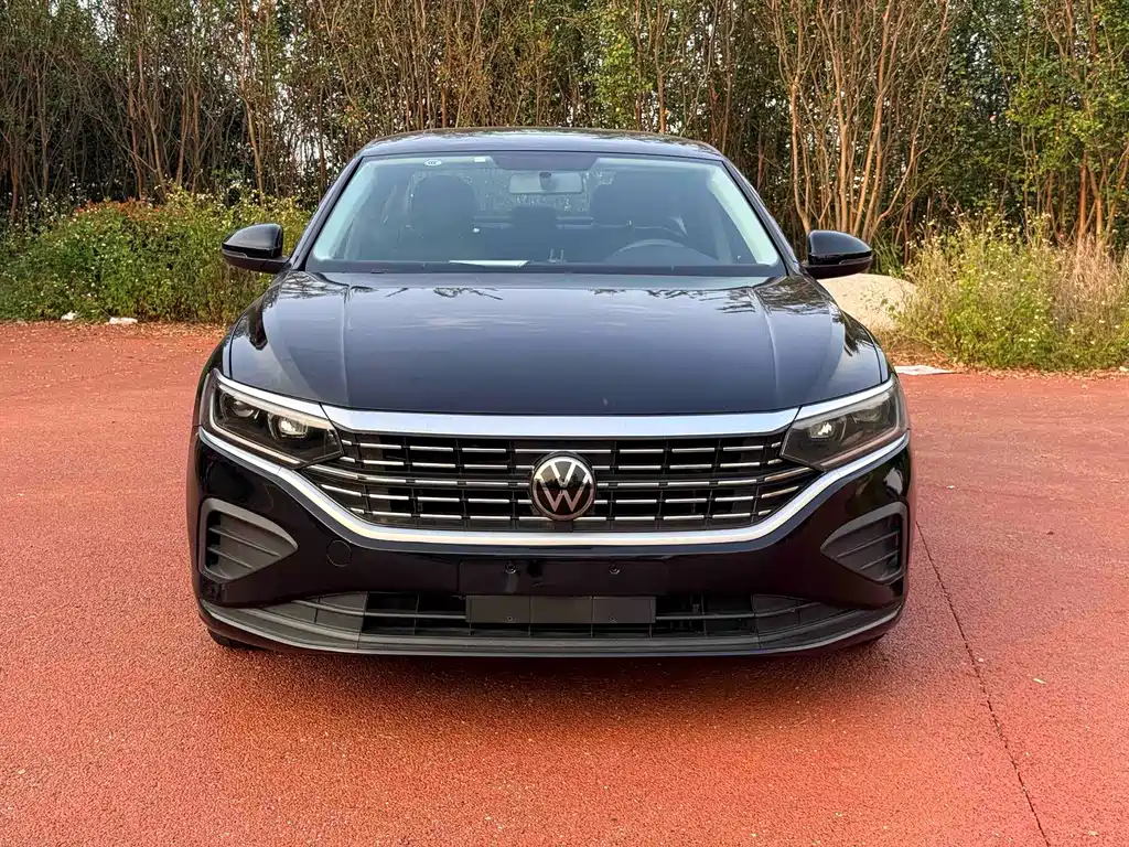 Volkswagen Passat — миниатюра 2