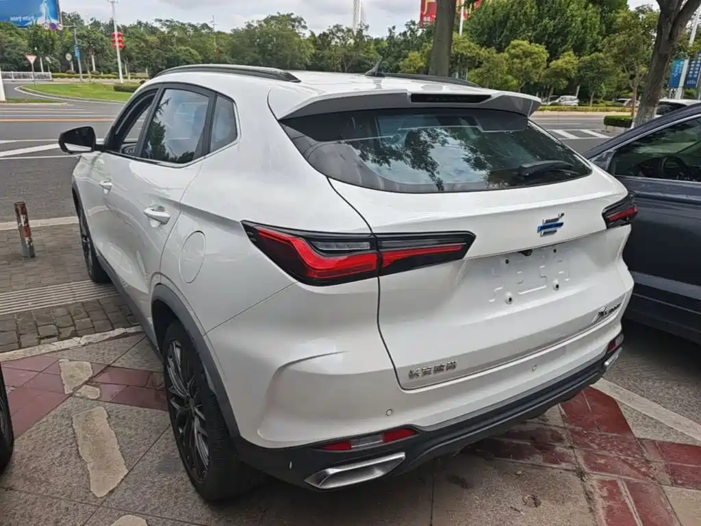 Oshan Oushang X5 — миниатюра 5