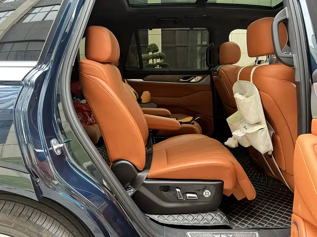 WEI PAI WEI BRAND BLUE MOUNTAIN