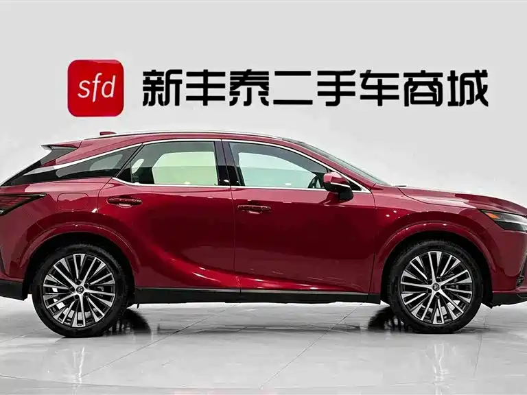 Lexus RX New Energy — миниатюра 3