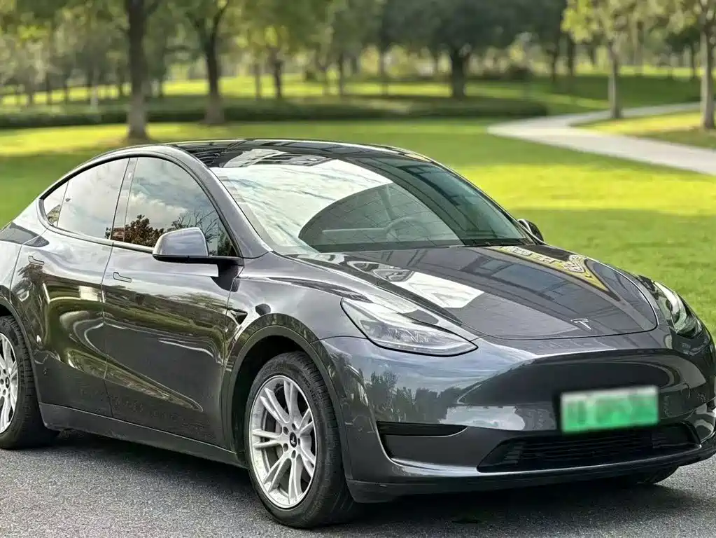 Tesla Model Y — миниатюра 3