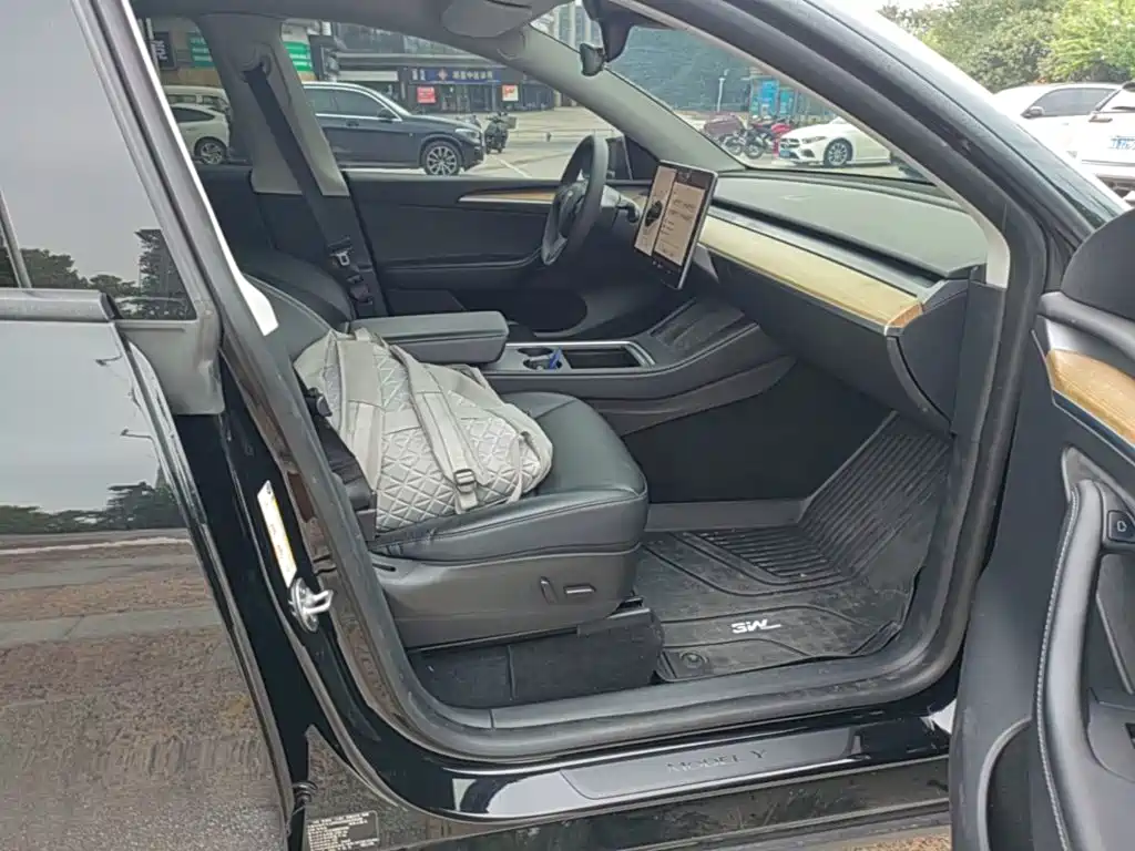 Tesla Model Y — миниатюра 25