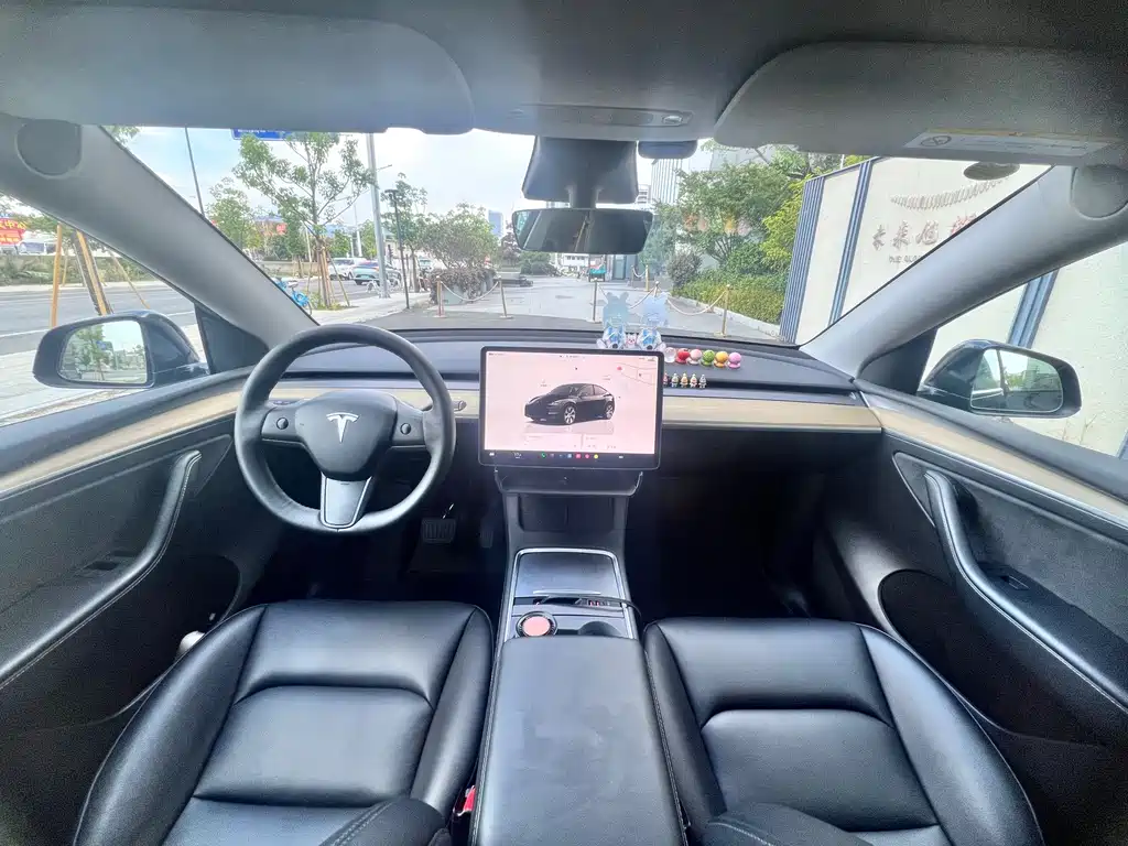Tesla Model Y — миниатюра 9