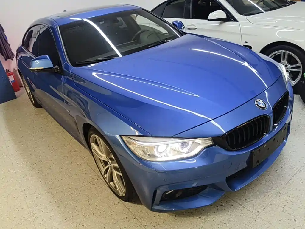 BMW 4 Series — миниатюра 4