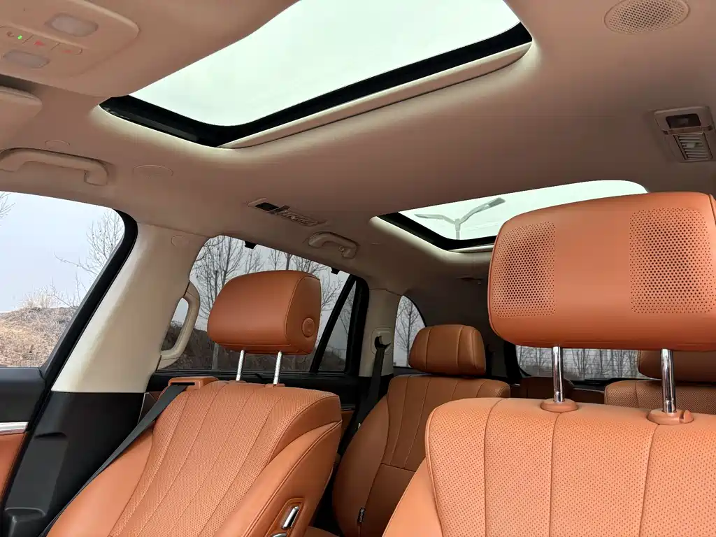 WEI PAI WEI BRAND BLUE MOUNTAIN