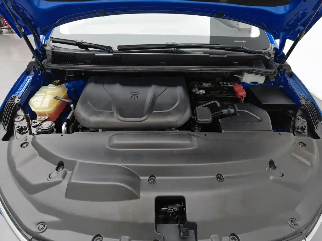 BYD MAX — миниатюра 6
