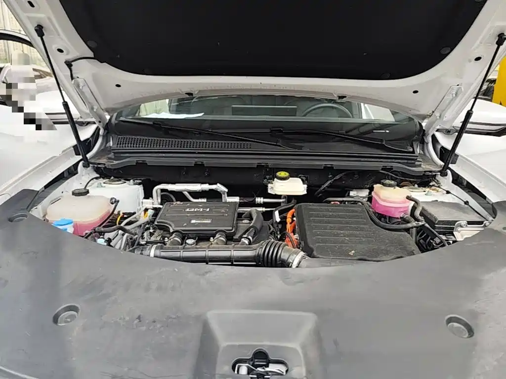 BYD Pro New Energy — миниатюра 20