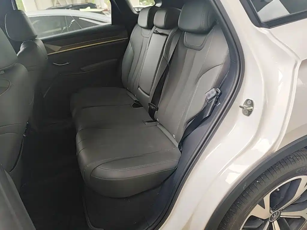 BYD Pro New Energy — миниатюра 17