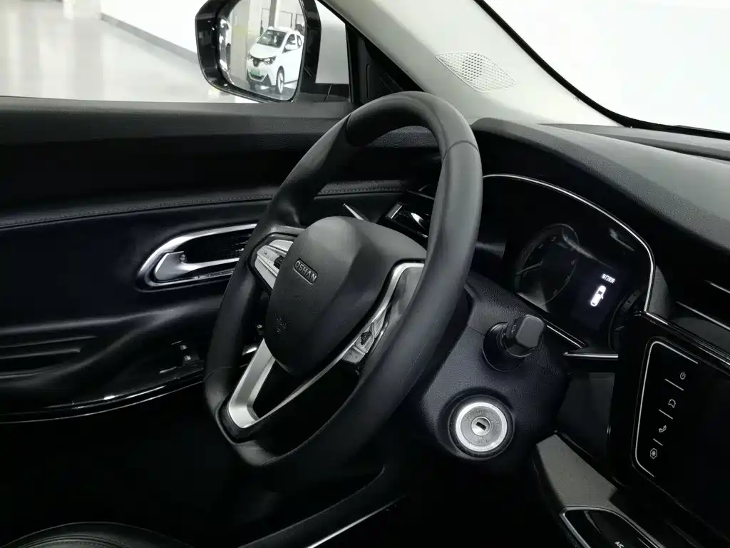 Oshan Oushang X7 — миниатюра 22