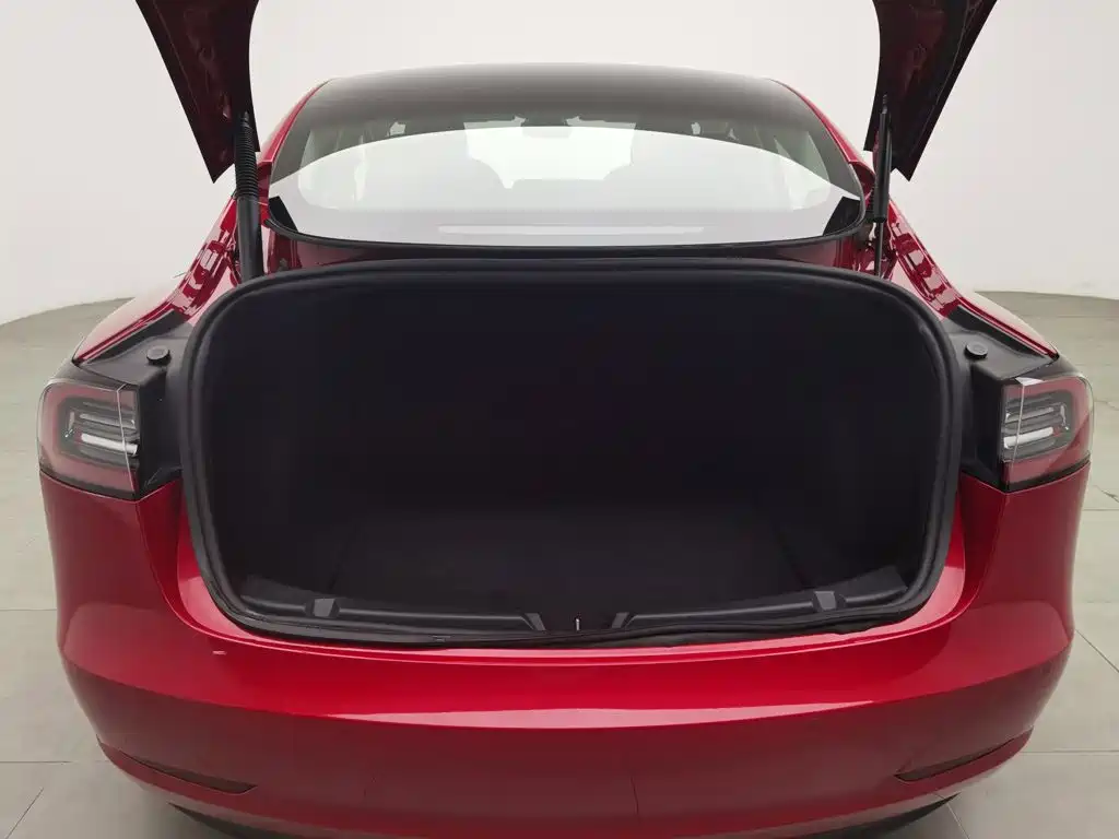 Tesla Model 3 — миниатюра 16