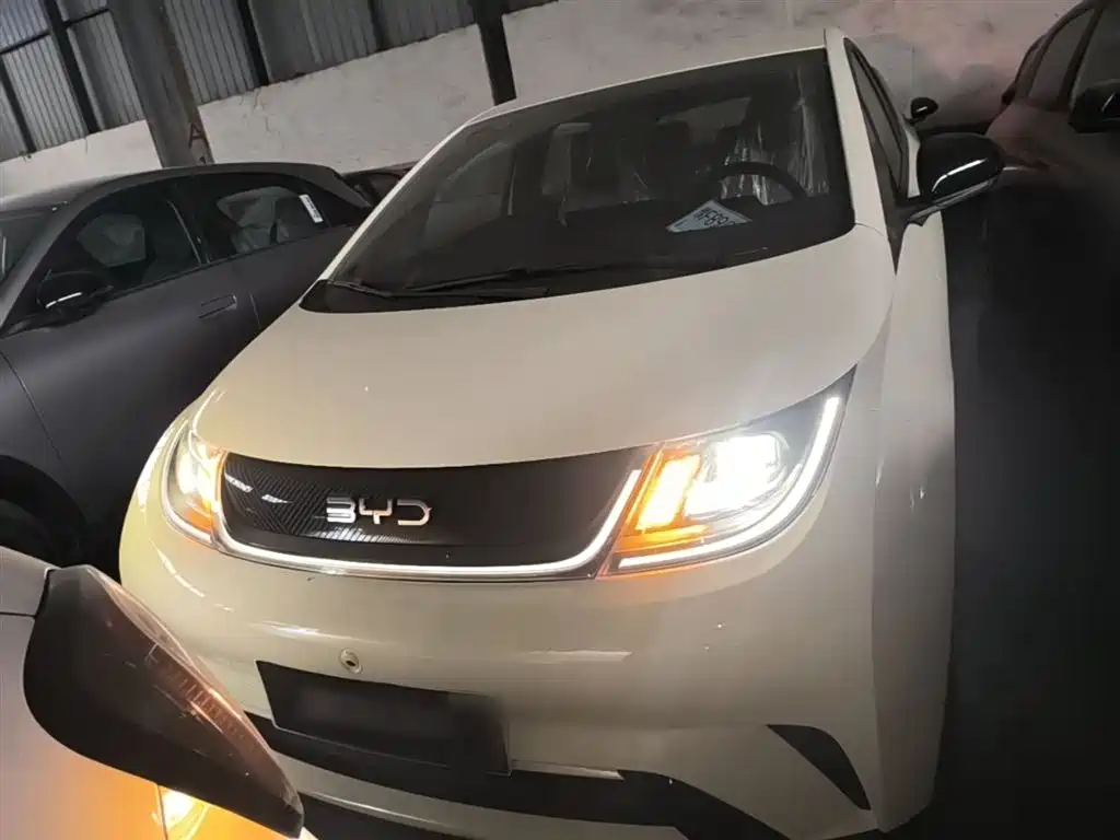BYD Dolphin 2025 420km Freedom