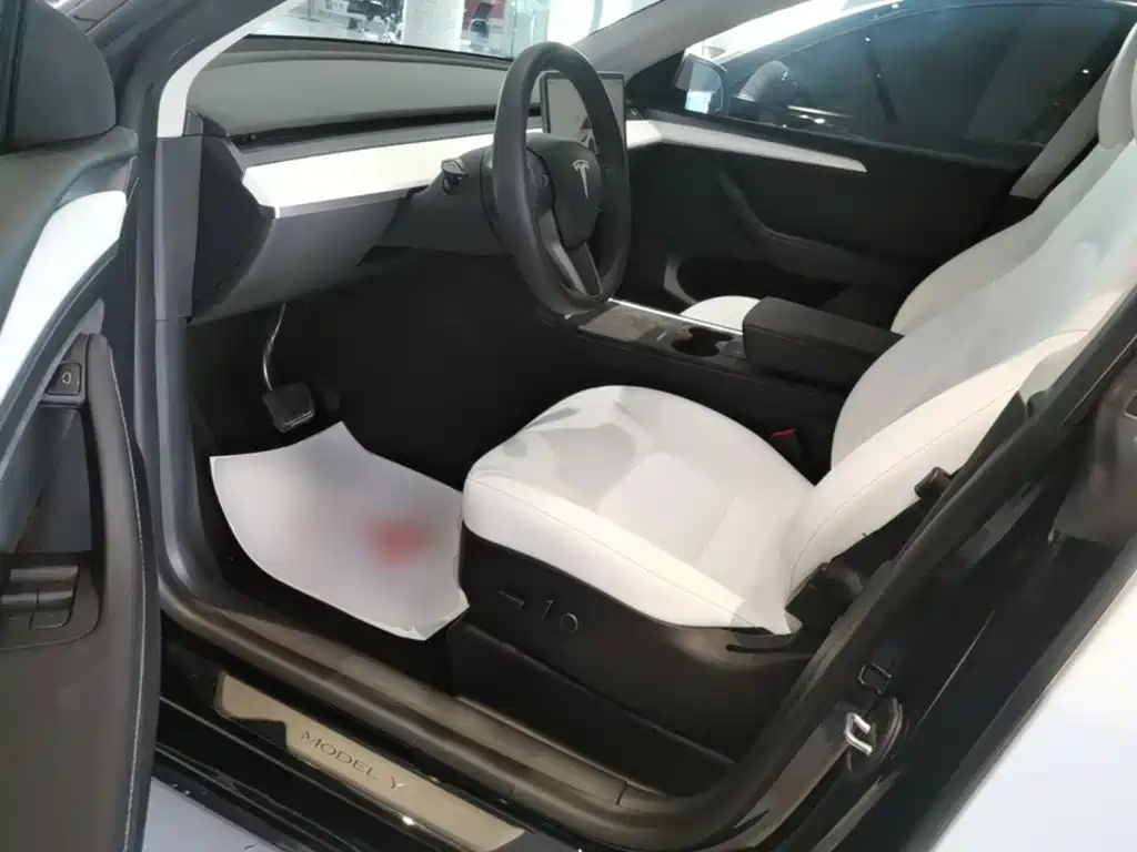 Tesla Model Y — миниатюра 15
