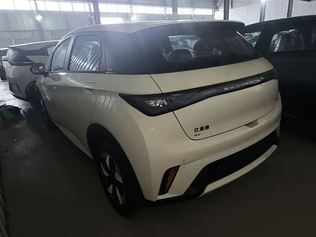 BYD Dolphin 2025 420km Freedom