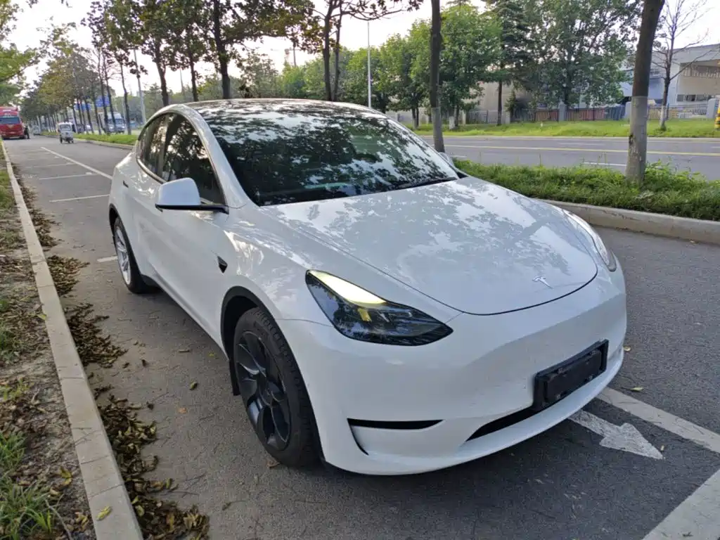 Tesla Model Y — миниатюра 4