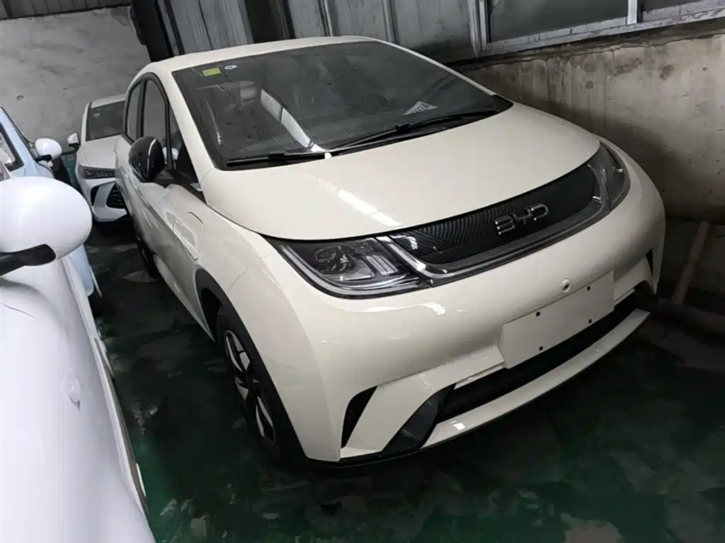 BYD Dolphin 2025 420km Freedom